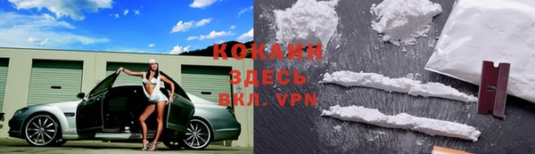 таблы Богданович