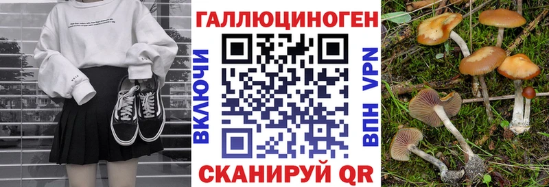 Купить где Шенкурск Псилоцибиновые грибы прущие грибы